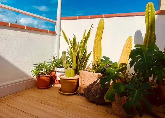 Atico Con Terraza, Vistas Panoramicas Y Parking
