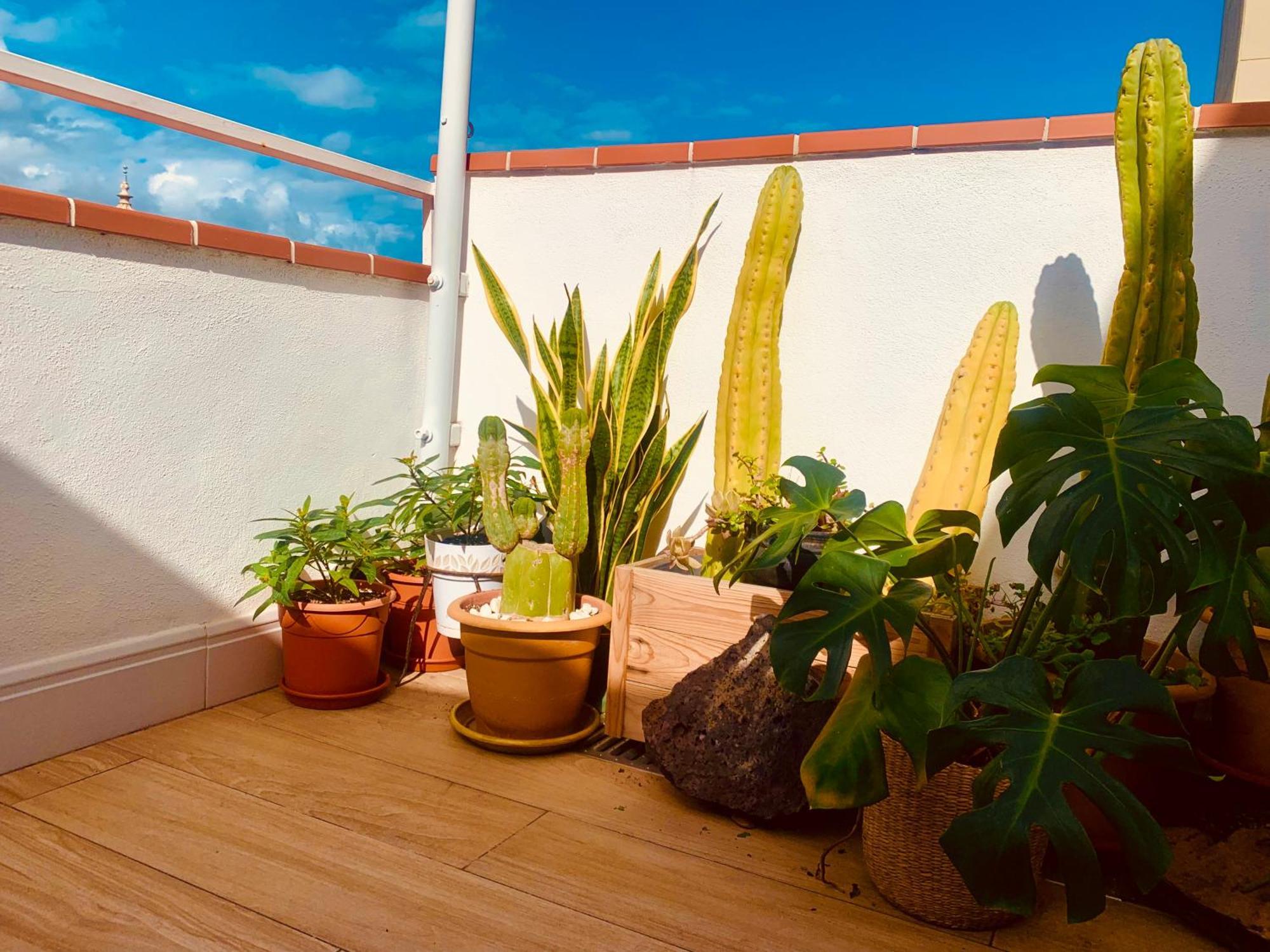 Appartamento Atico Con Terraza, Vistas Panoramicas Y Parking Santa Cruz de Tenerife