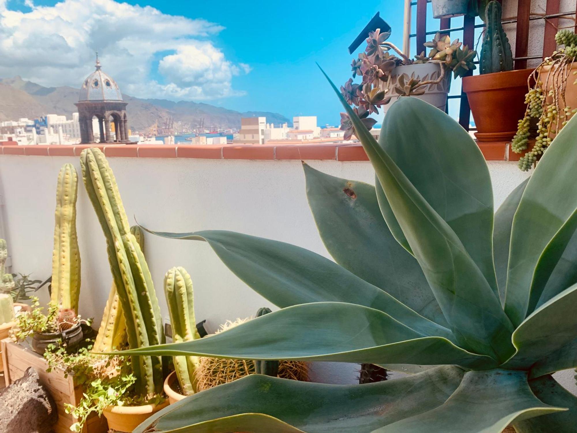 Appartement Atico Con Terraza, Vistas Panoramicas Y Parking